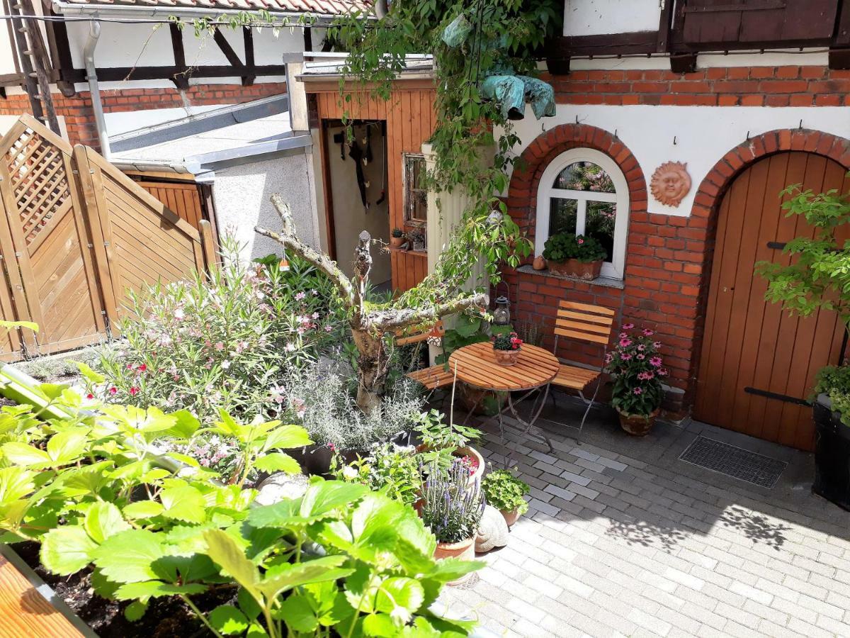 Apartment Zeitreise Quedlinburg Eksteriør billede