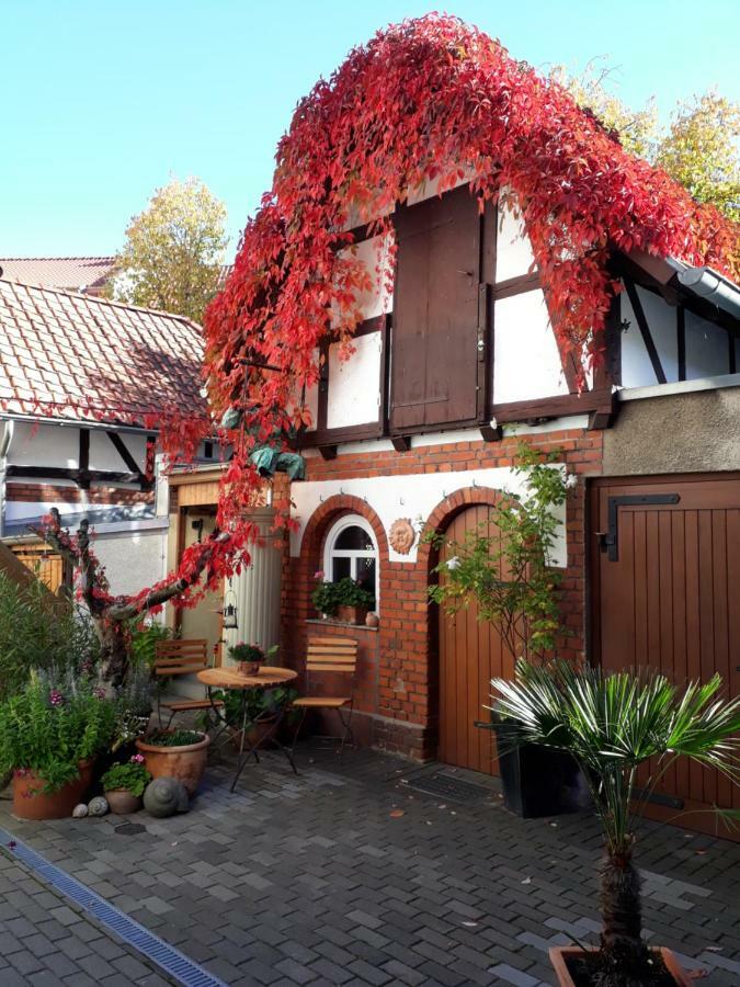 Apartment Zeitreise Quedlinburg Eksteriør billede